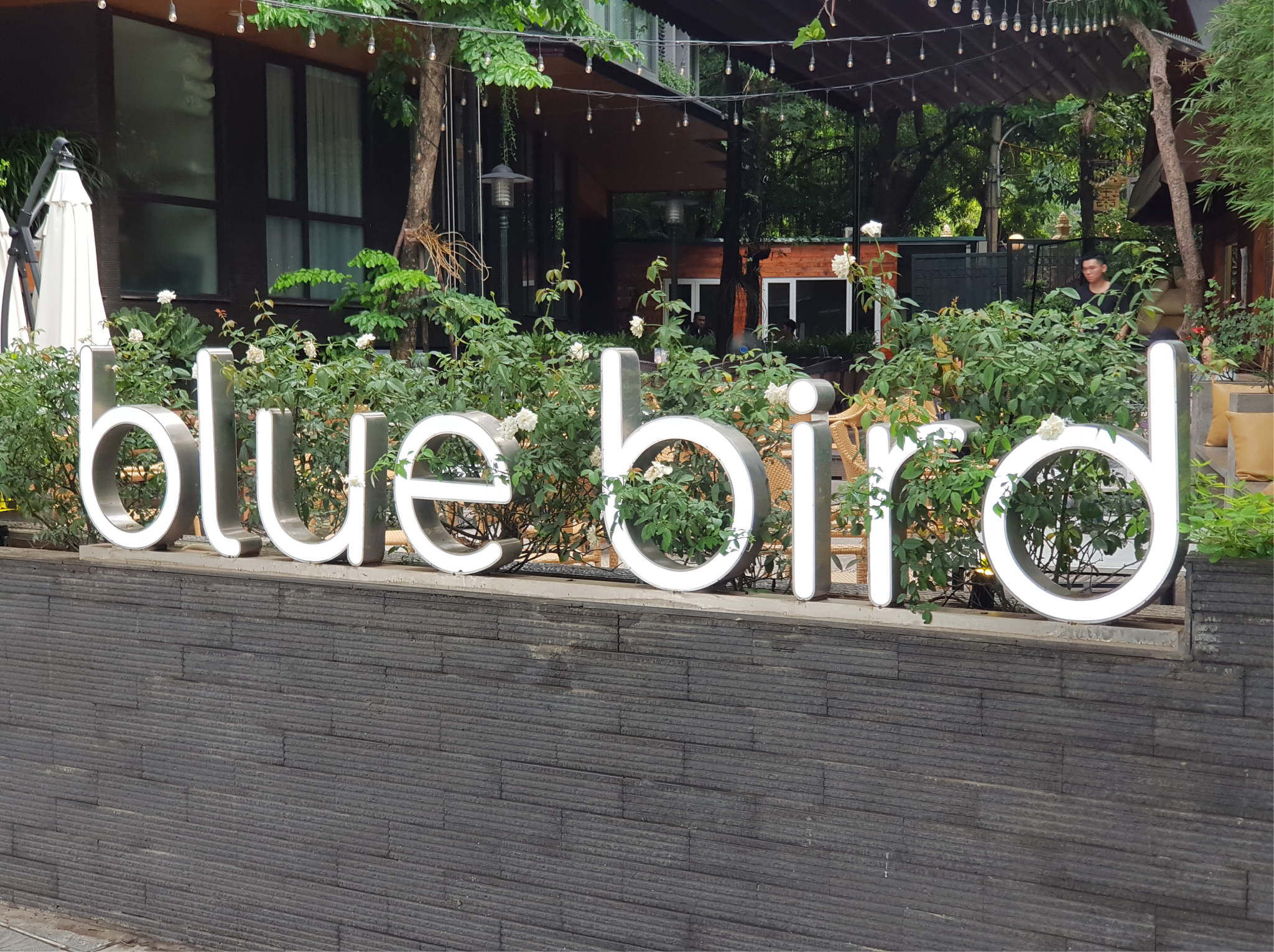 Café Blue Bird – 185A Trích Sài – Hà Nội