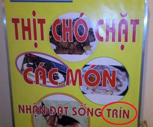 "Cố tình" Làm tấm biển quảng cáo be bét lỗi chính tả để hút khách 10